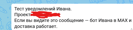 Успешный тест Ивана в MAX
